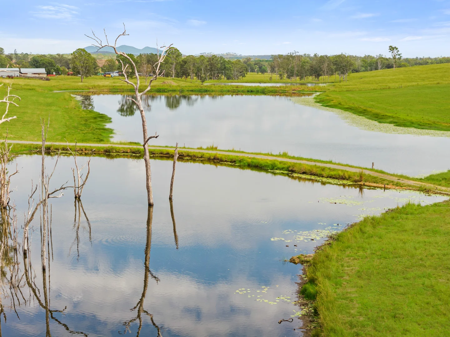 Additional image 19 of 1600 Anderleigh Road, Anderleigh QLD 4570