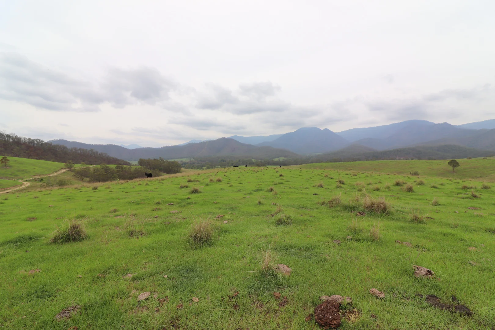 Additional image 8 of Lot 14/7986 Kempsey Road, Lower Creek NSW 2440