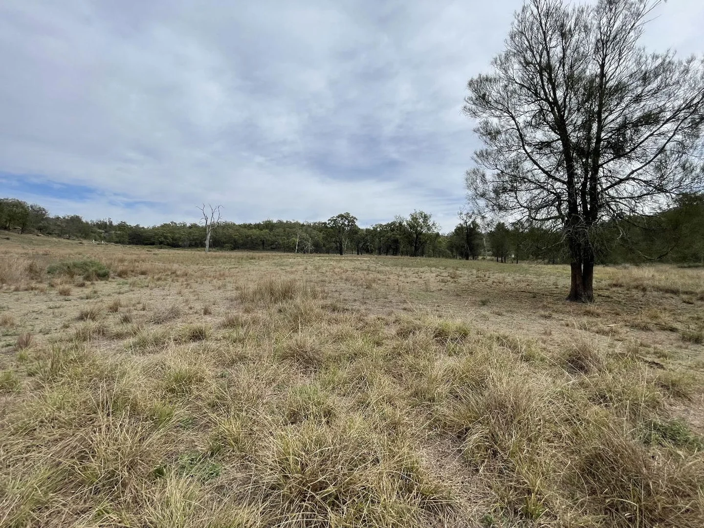 Additional image 7 of Lot 3 Giants creek Road, Sandy Hollow NSW 2333