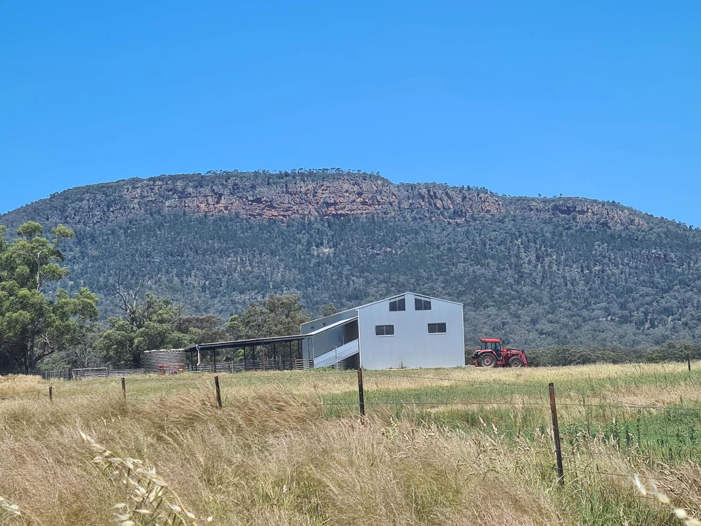 Additional image 6 of "Nangar Valley" 223 Rodwells Road, Murga NSW 2864