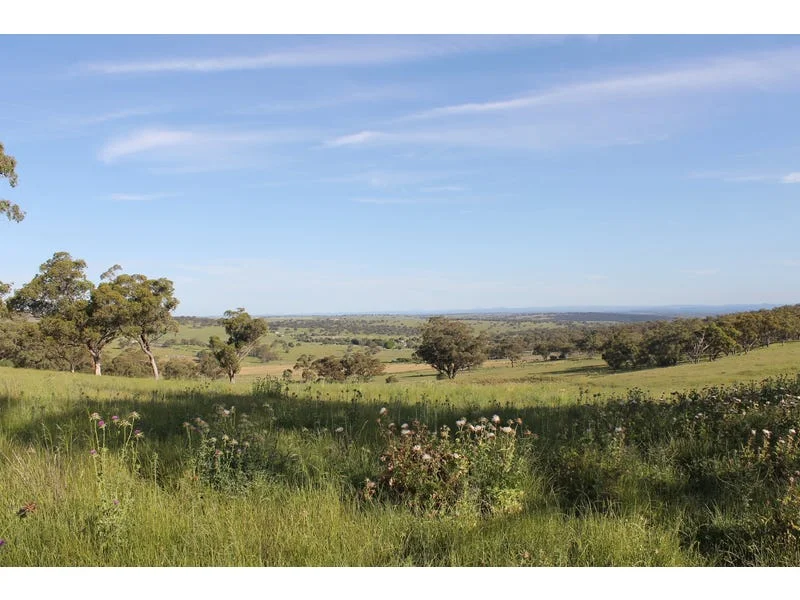 Additional image 12 of Golden Highway, Cassilis NSW 2329