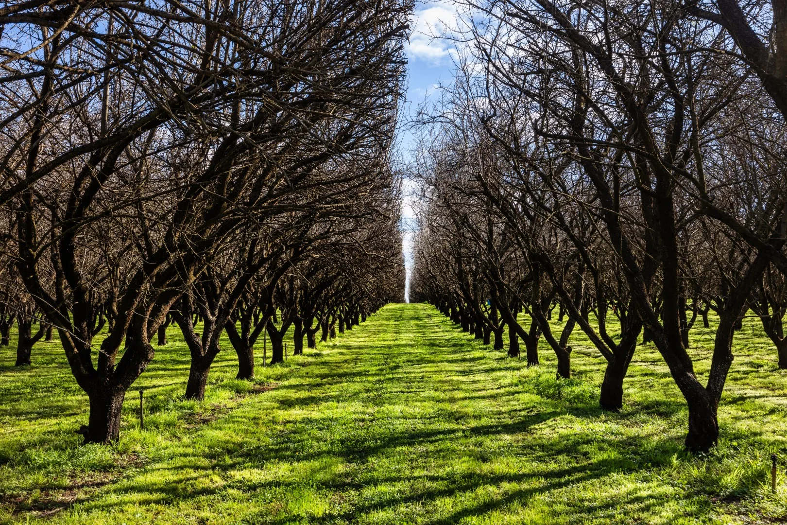 Additional image 16 of 3272 Kulkyne Way, Colignan VIC 3494