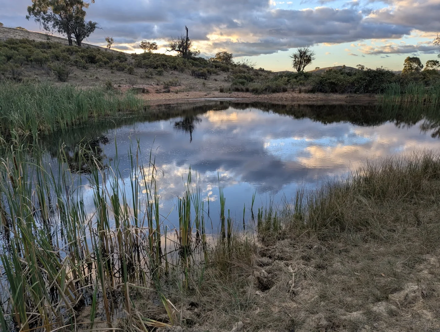 Additional image 5 of 1092 Gowan Road, Lower Lewis Ponds NSW 2800