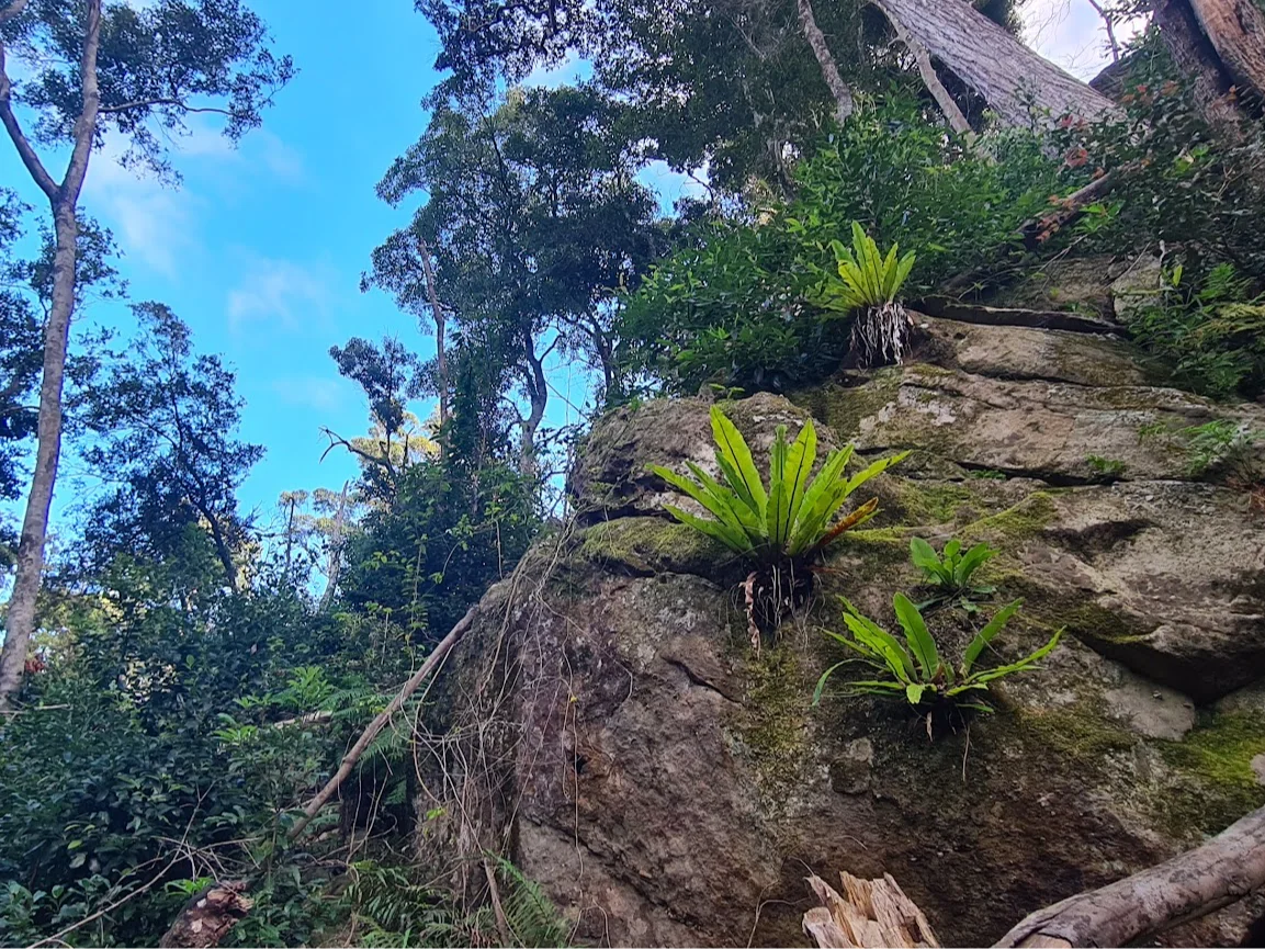 Additional image 13 of Illaroo NSW 2540