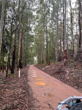 Additional image 34 of 46 Buckley Road, Carlotta WA 6275