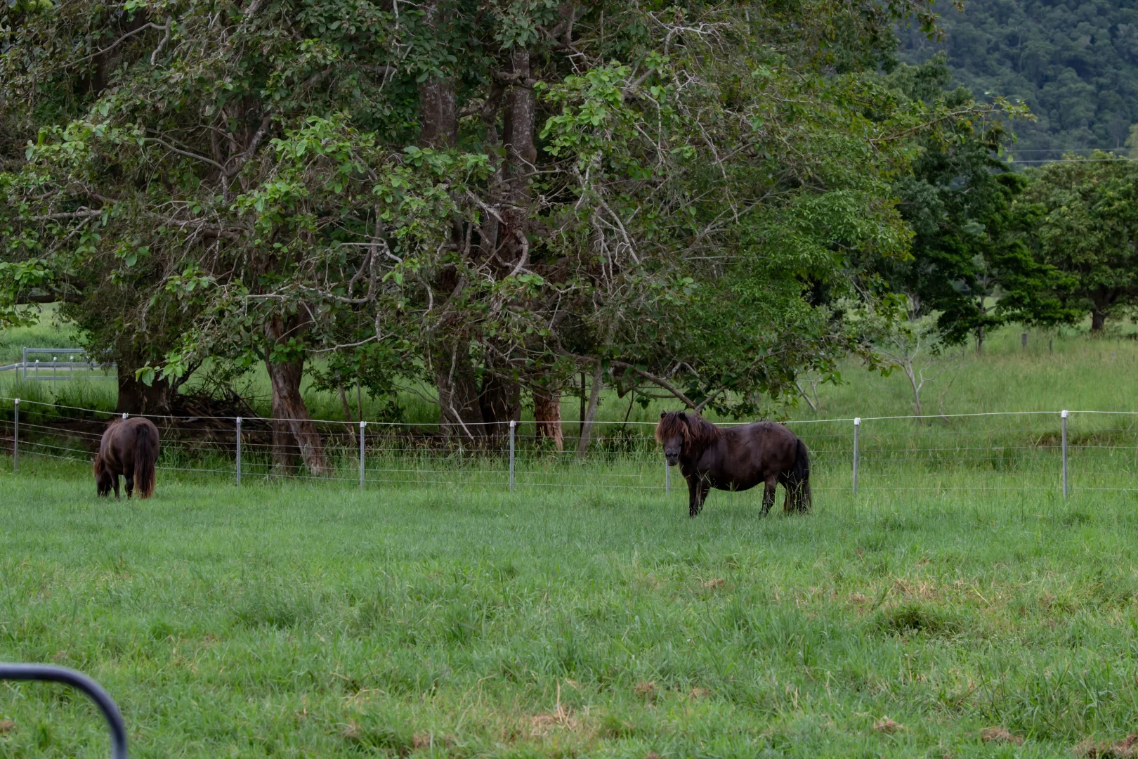Additional image 27 of 122 Patullo Road, Gregory River QLD 4800