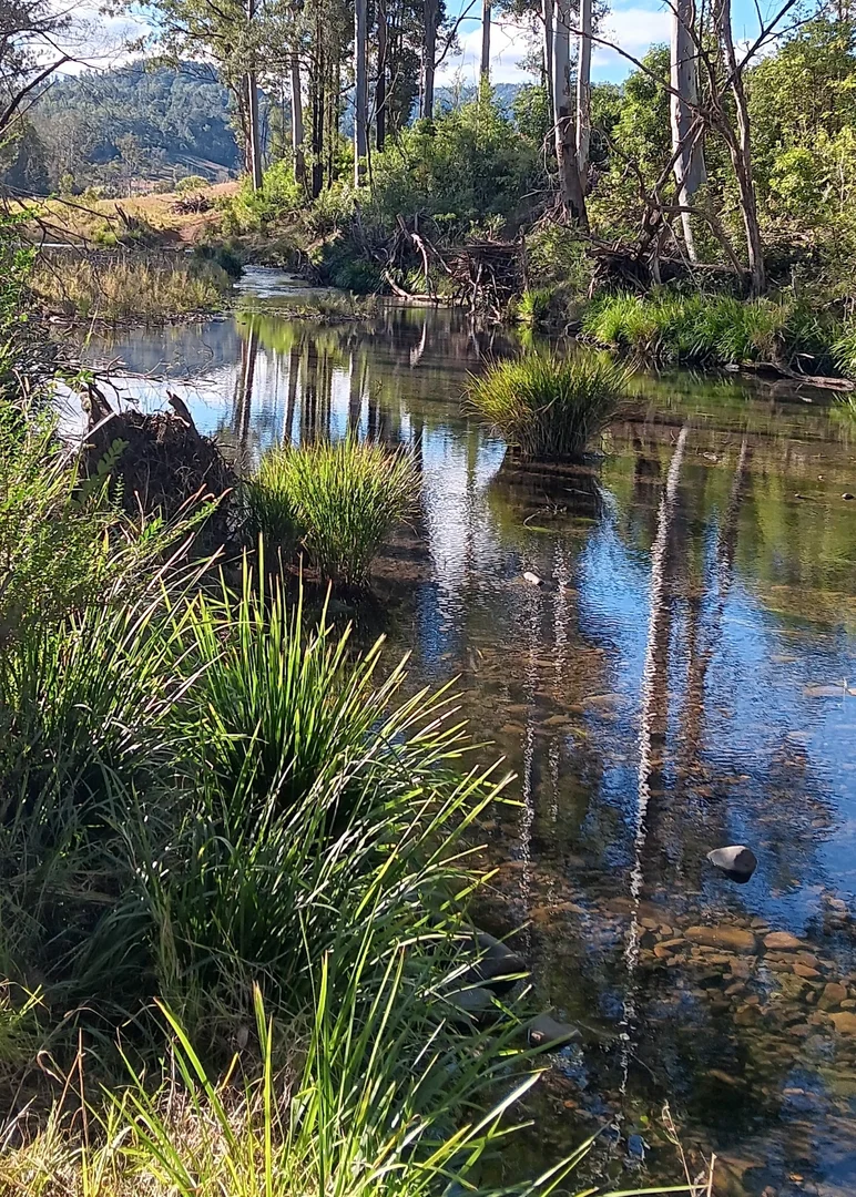 Additional image 29 of 2667 Pappinbarra Road, Pappinbarra NSW 2446