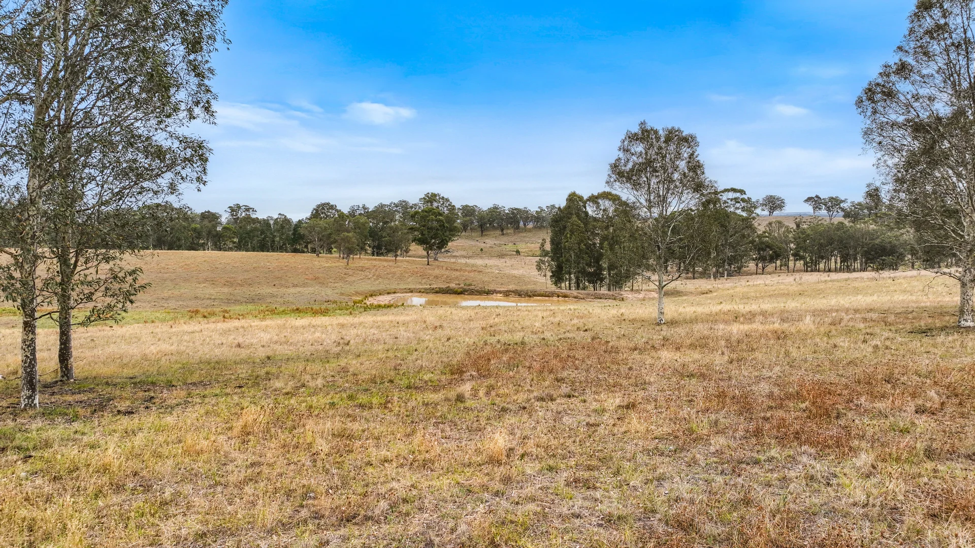 Additional image 10 of 190 Beggary Creek Road, Muscle Creek NSW 2333