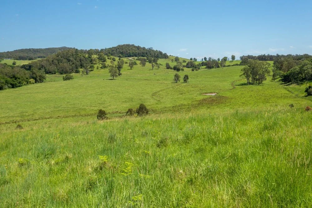 Additional image 22 of 310 Yessabah Road, Yessabah NSW 2440