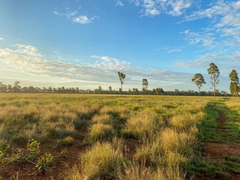 Additional image 23 of 225 BEILS ROAD, Kingaroy QLD 4610