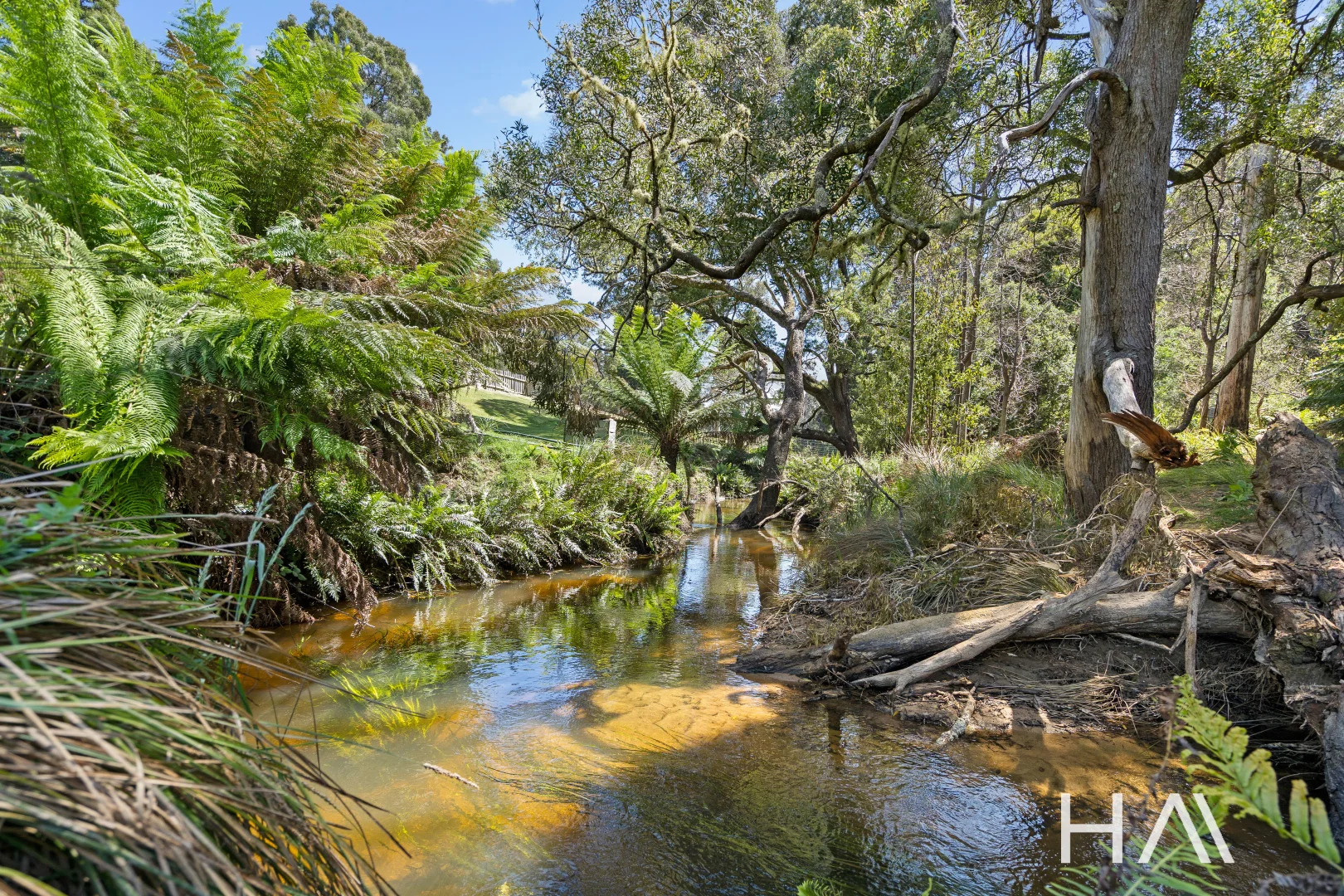 Additional image 4 of 11 Burns Road, Wyena TAS 7254