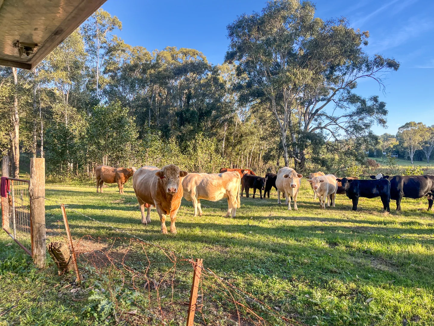 Additional image 19 of 3036 Great North Road, Wollombi NSW 2325