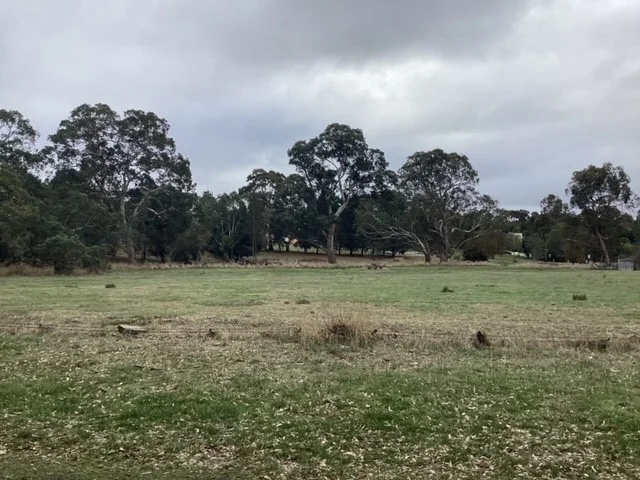 Additional image 3 of 1233 Waubra-Talbot Road, Evansford VIC 3371