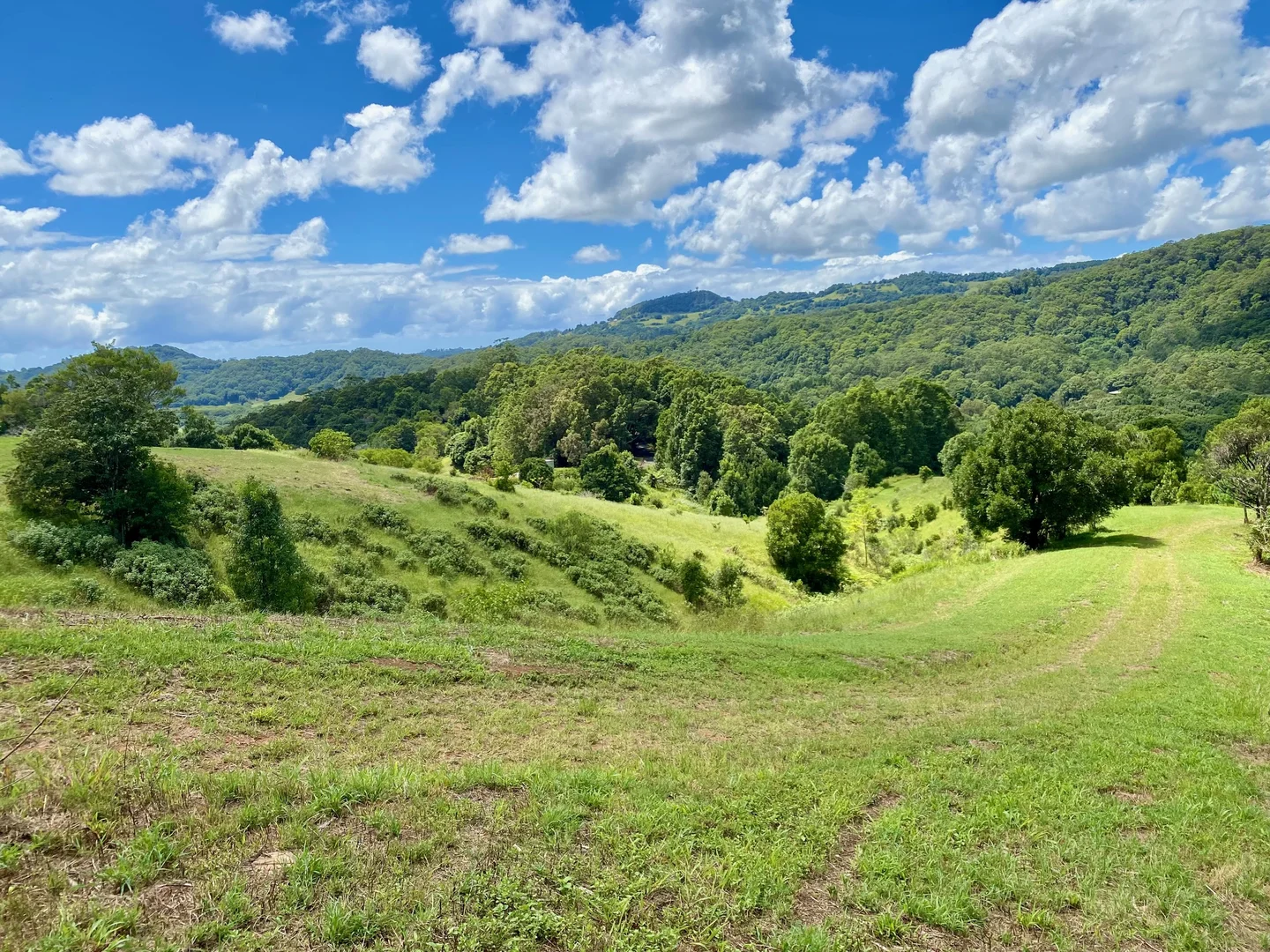 Additional image 24 of 1318 Currumbin Creek Road, Currumbin Valley QLD 4223