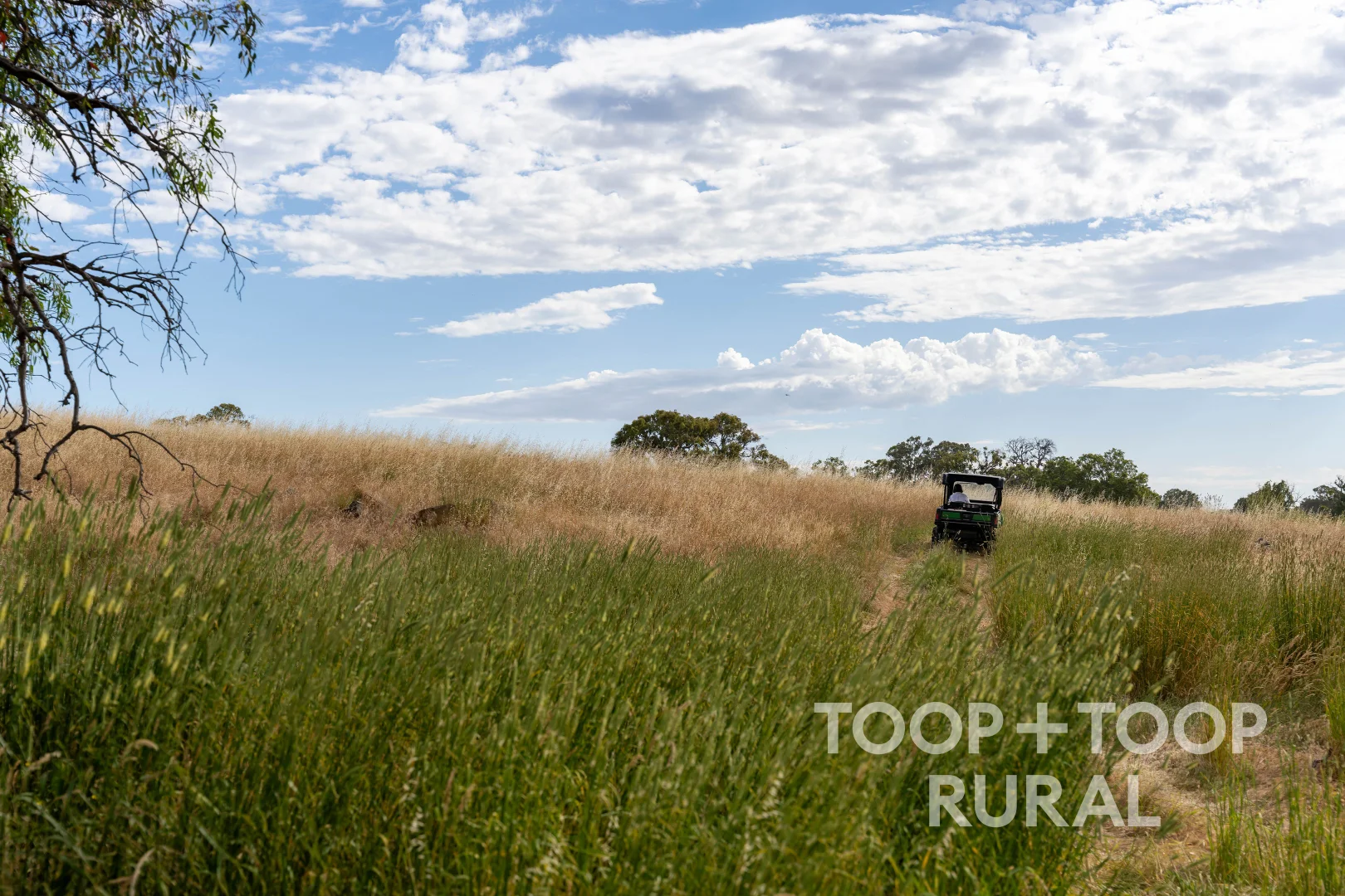 Additional image 21 of 70 Scottsburn Road, Woodside SA 5244