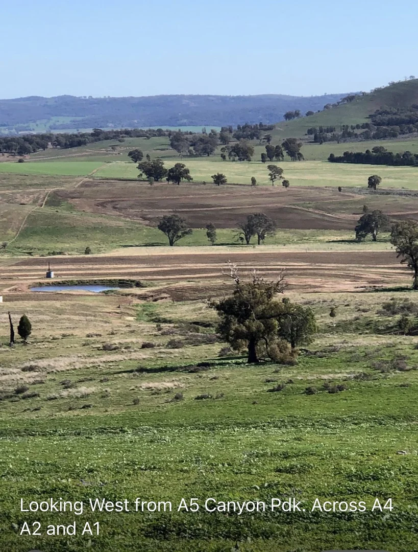 Additional image 6 of Address Via Request Road, Grenfell NSW 2810