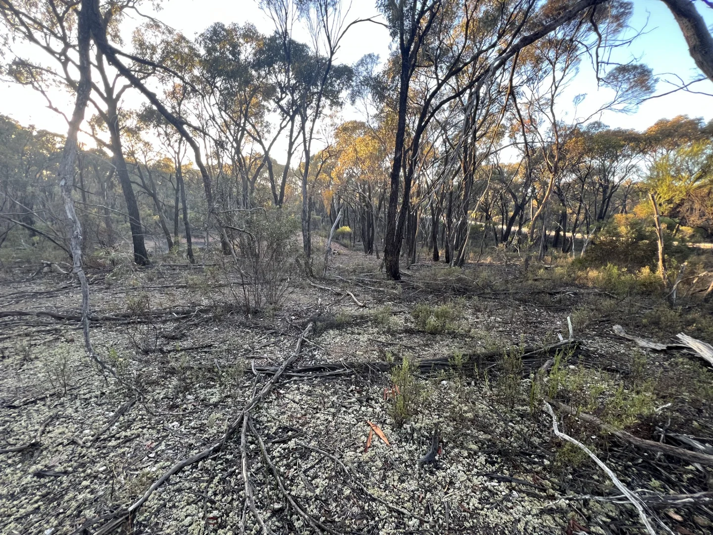 Additional image 7 of 373 Josephine Drive, Wedderburn VIC 3518