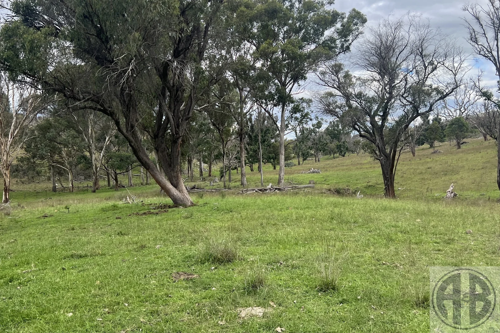 Additional image 27 of Kingstown NSW 2358