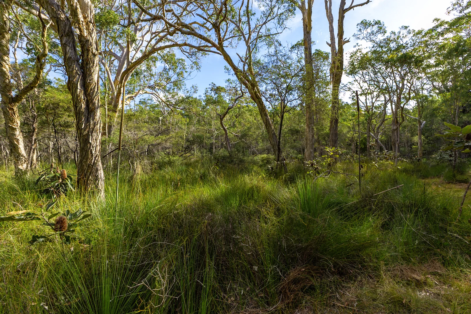 Additional image 11 of 40 Lakewood Drive, Peregian Beach QLD 4573