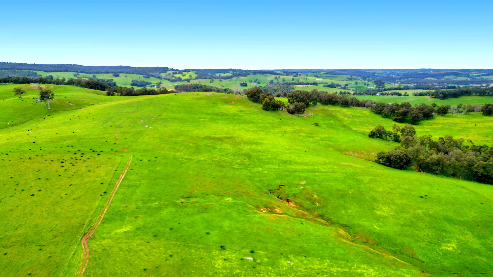 Additional image 6 of Lot 51, 186 Grist Road, Beelerup WA 6239