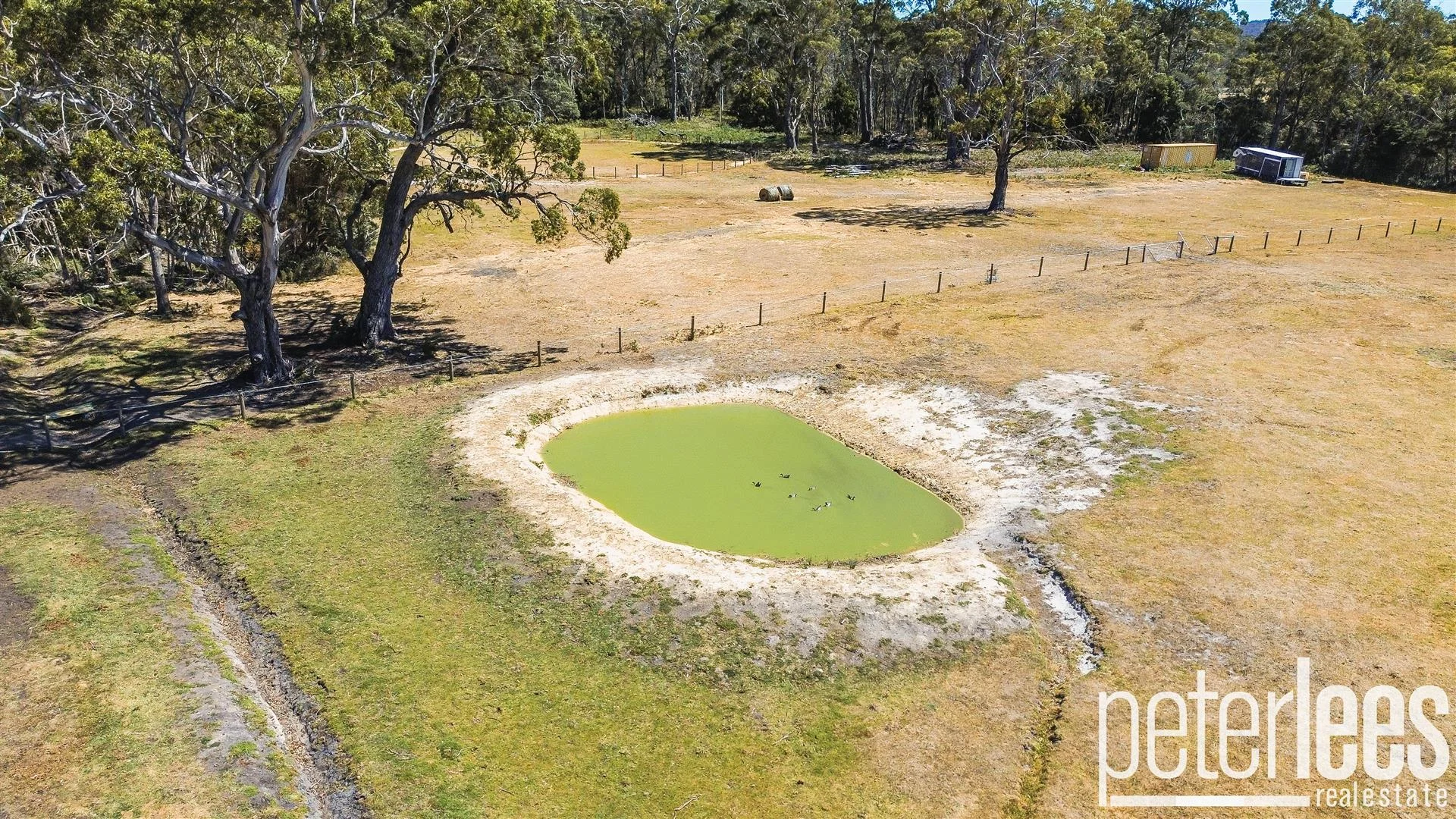 Additional image 21 of 25498 Tasman Highway, St Helens TAS 7216