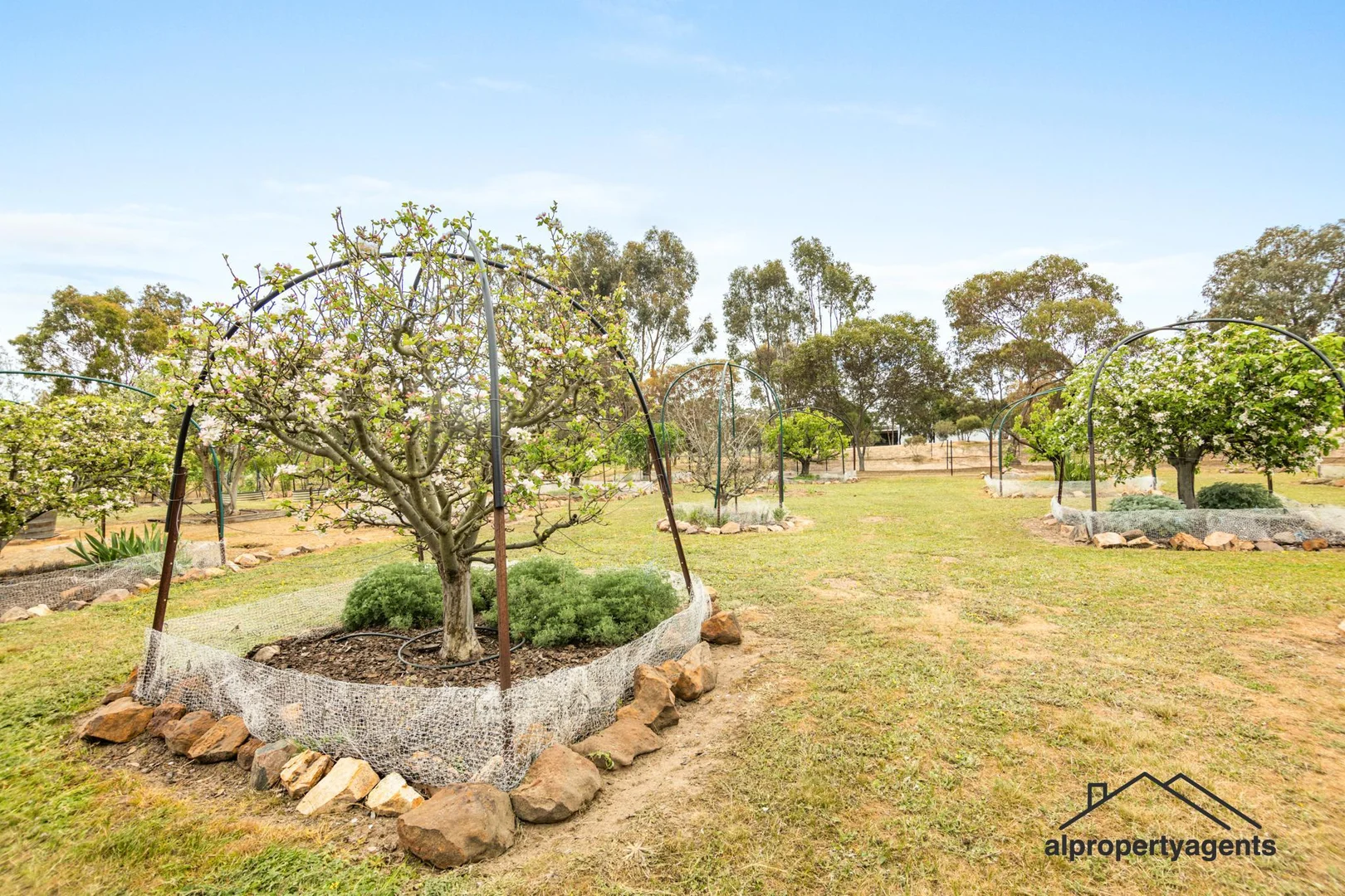 Additional image 26 of 214 Speirs Road, Nurrabiel VIC 3401