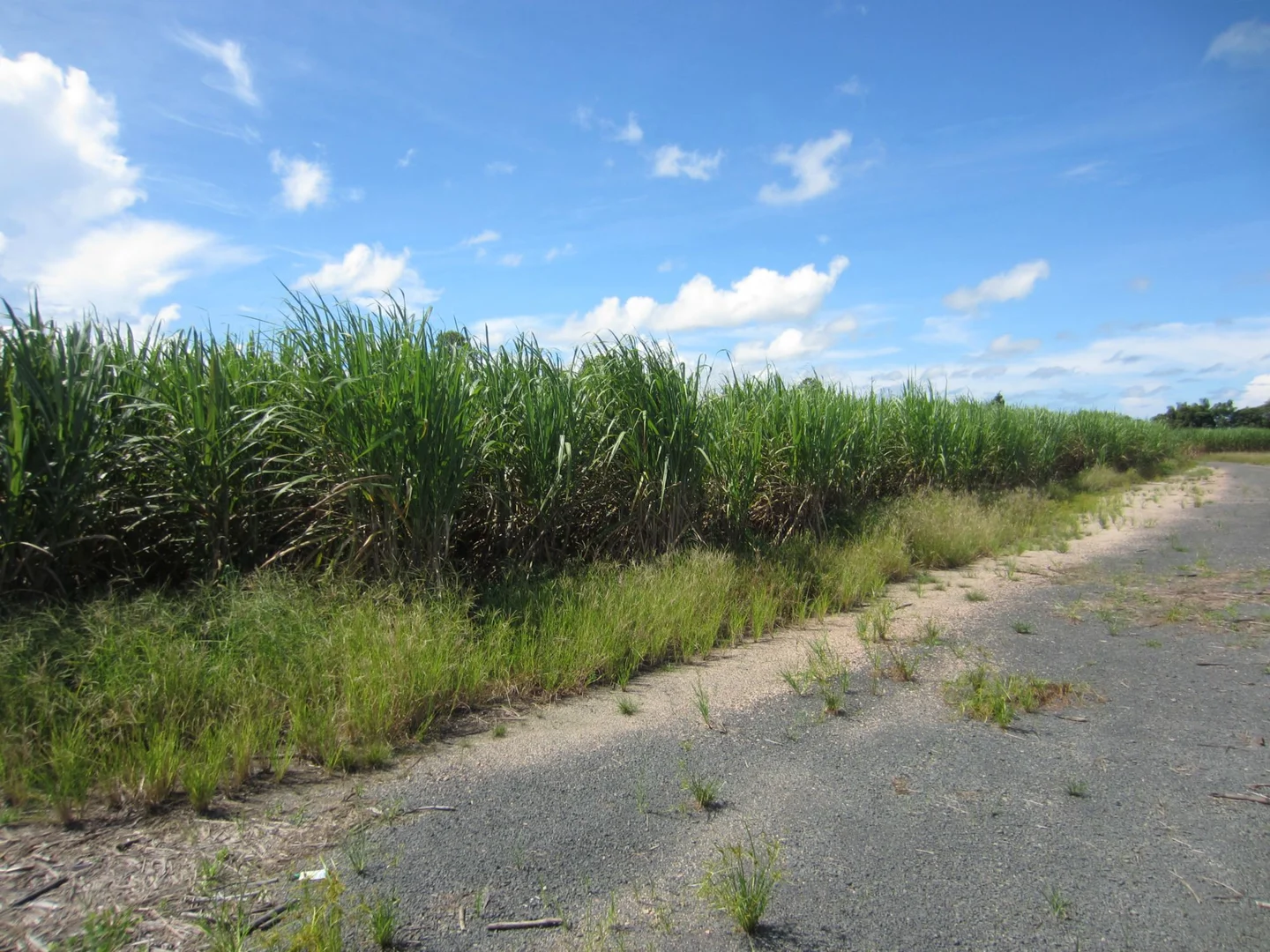 Additional image 8 of Japoonvale QLD 4856