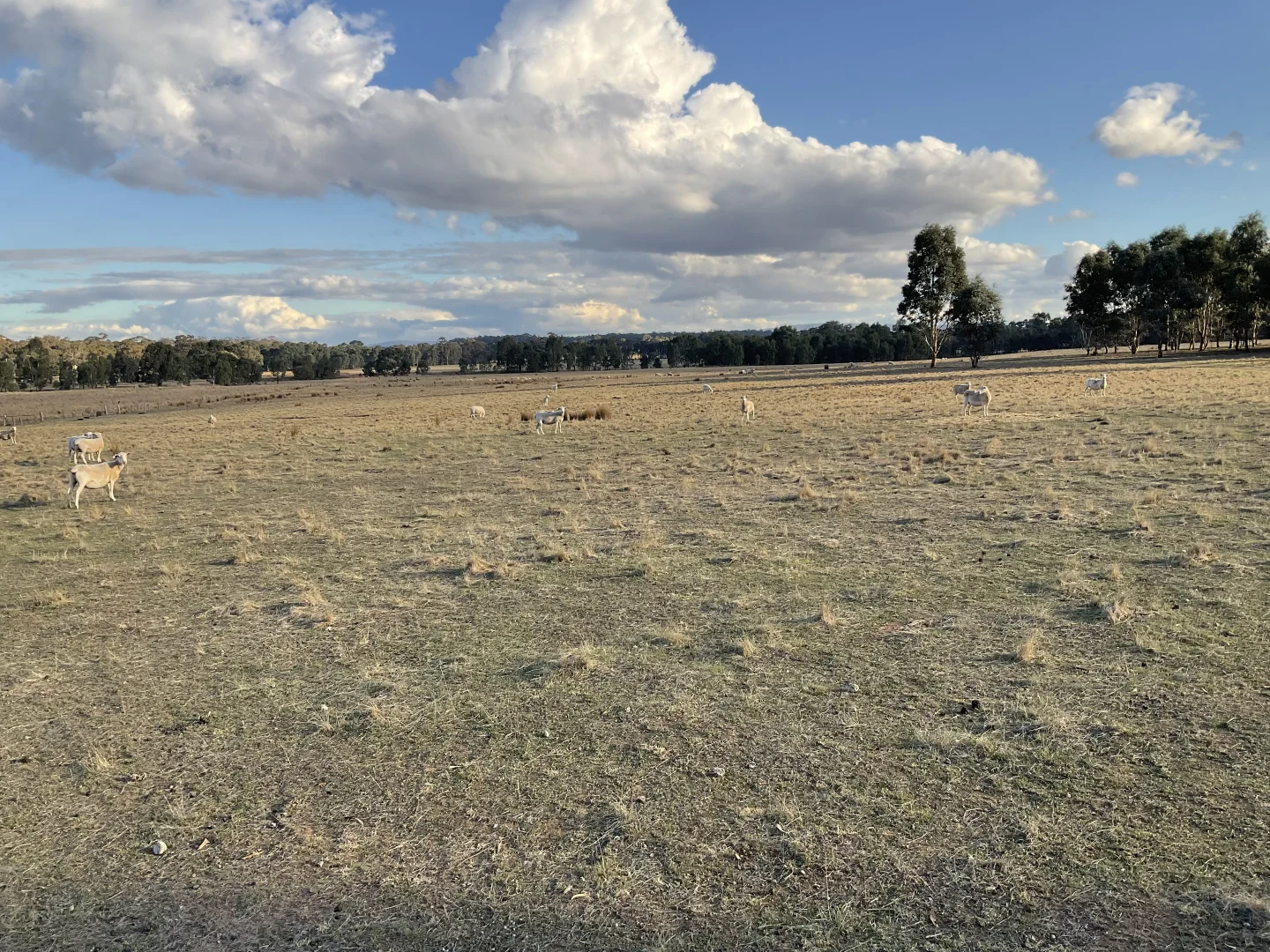 Additional image 7 of Rocky Ridge Road, Carapooee VIC 3477