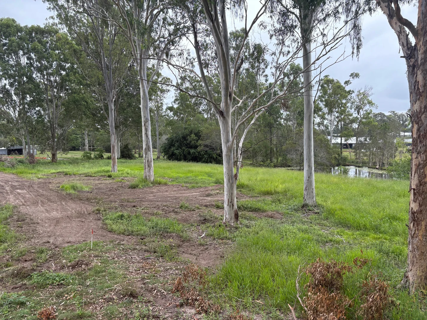 Additional image 4 of 73 Adelong Court, Morayfield QLD 4506