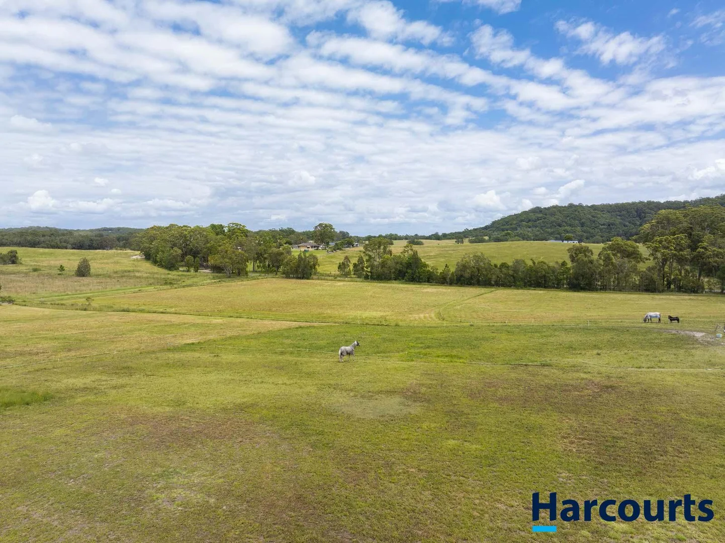 Additional image 87 of 406 Old Bagotville Road, Bagotville NSW 2477
