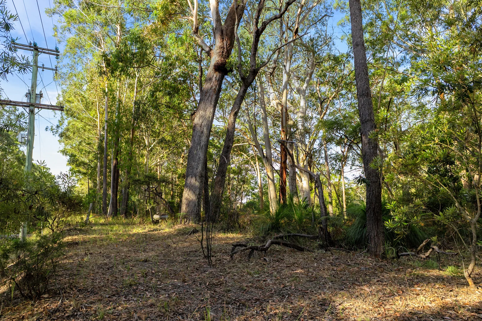 Additional image 17 of 40 Lakewood Drive, Peregian Beach QLD 4573