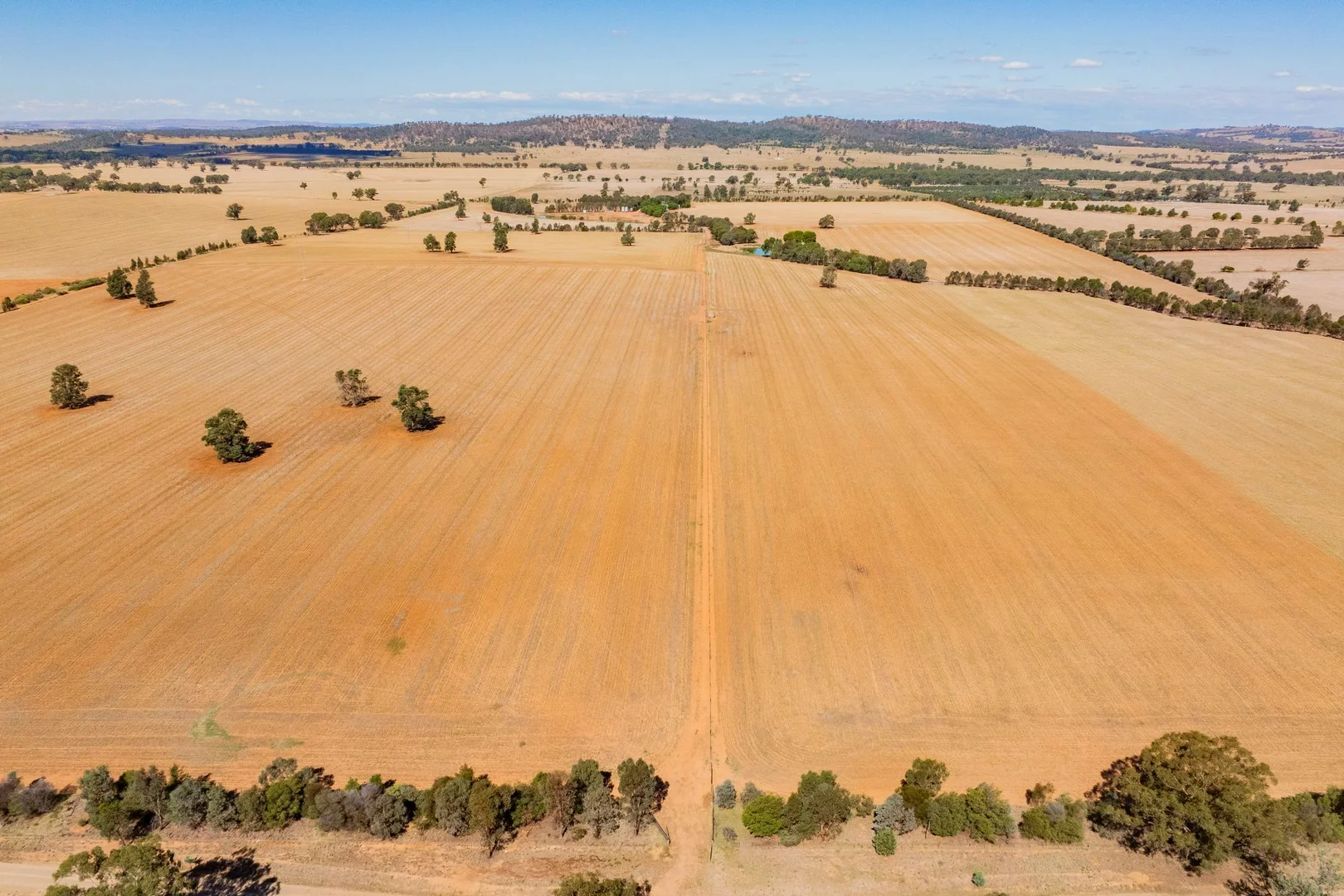 Additional image 4 of 226 Cloughs Road, Wagga Wagga NSW 2650