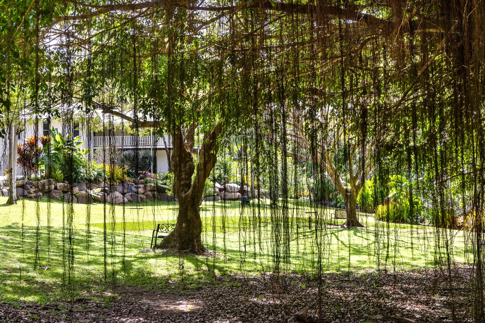 Additional image 23 of 43 Regency Road, Doonan QLD 4562