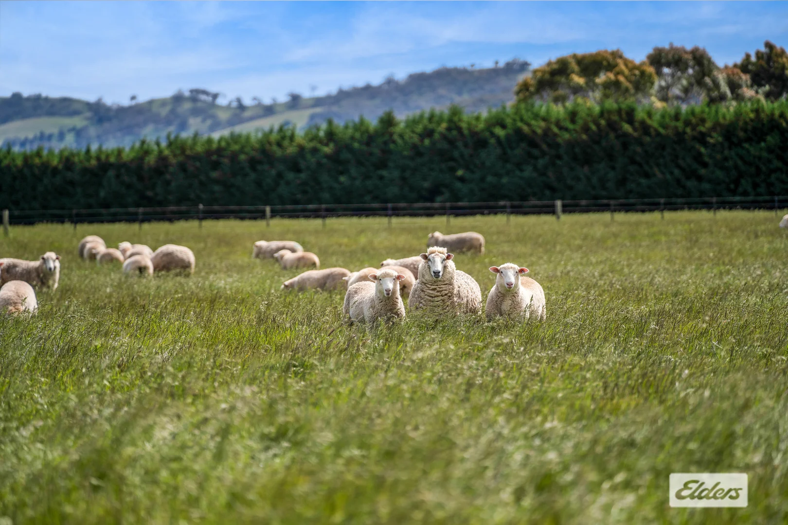 Additional image 20 of 348 Tickawarra Road, Romsey VIC 3434