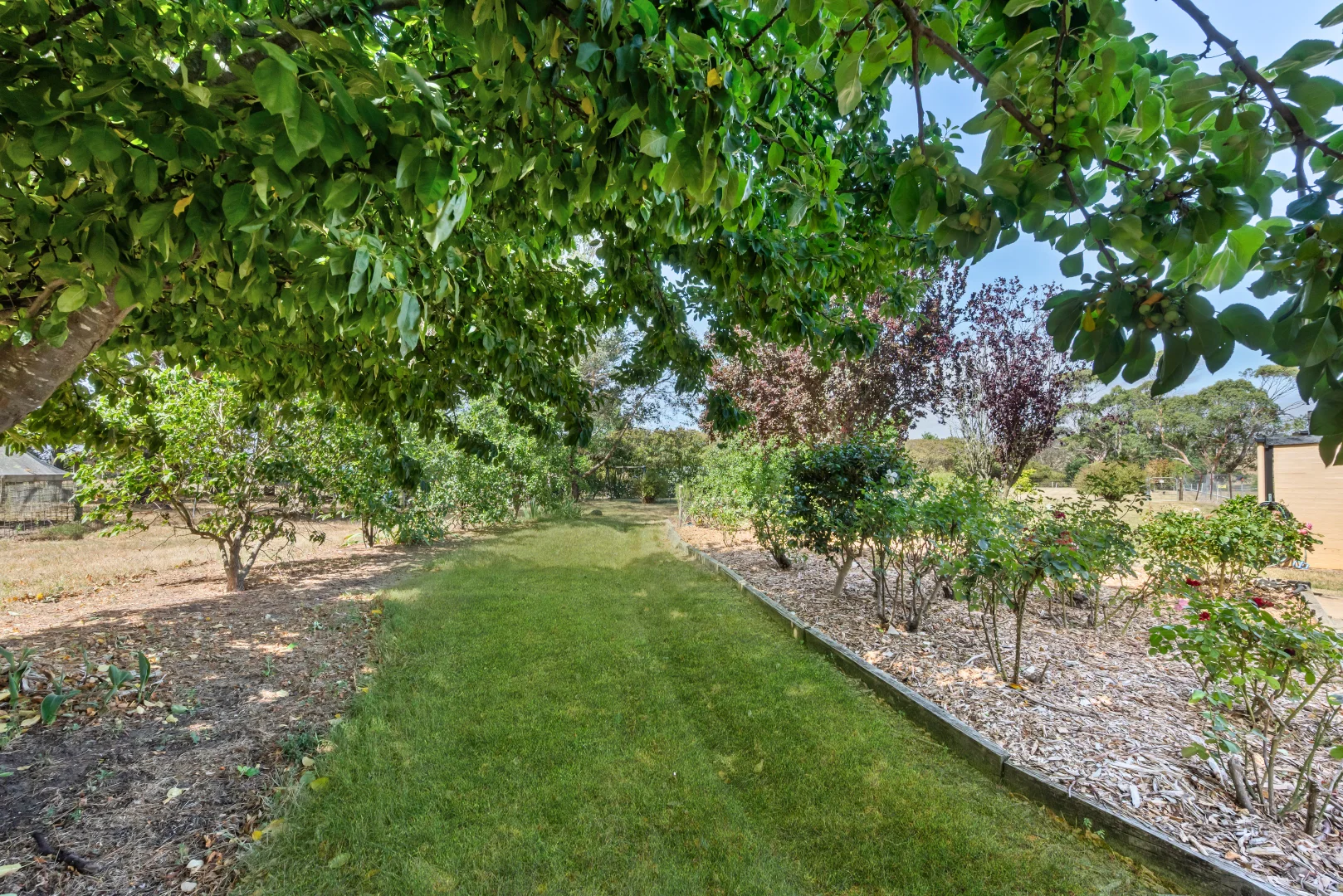 Additional image 24 of 12 Cooma Road, Braidwood NSW 2622