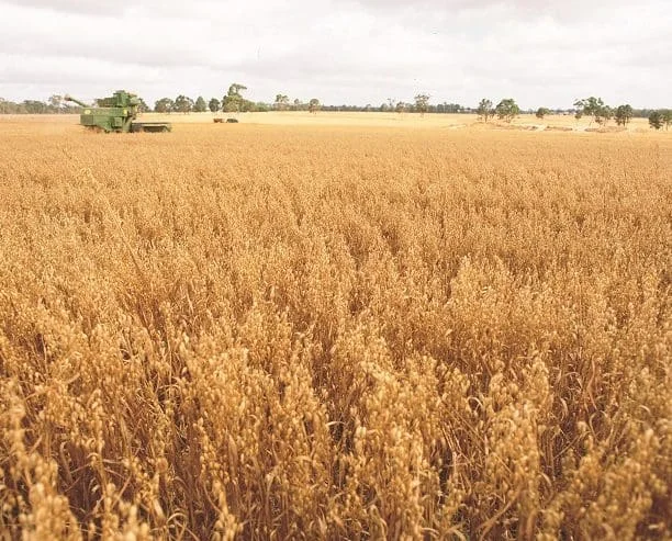 Additional image 3 of 1028-1098 Woorinen-Goschen Road, Swan Hill VIC 3585