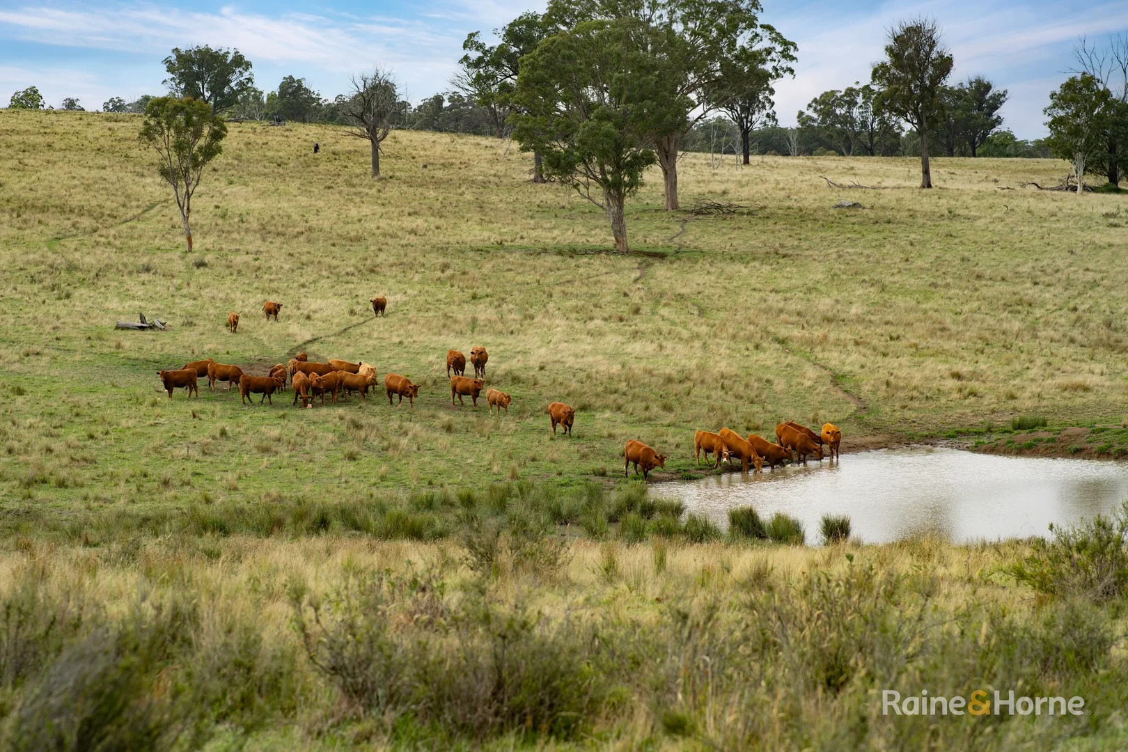 733 Niangala Road, Woolbrook NSW 2354