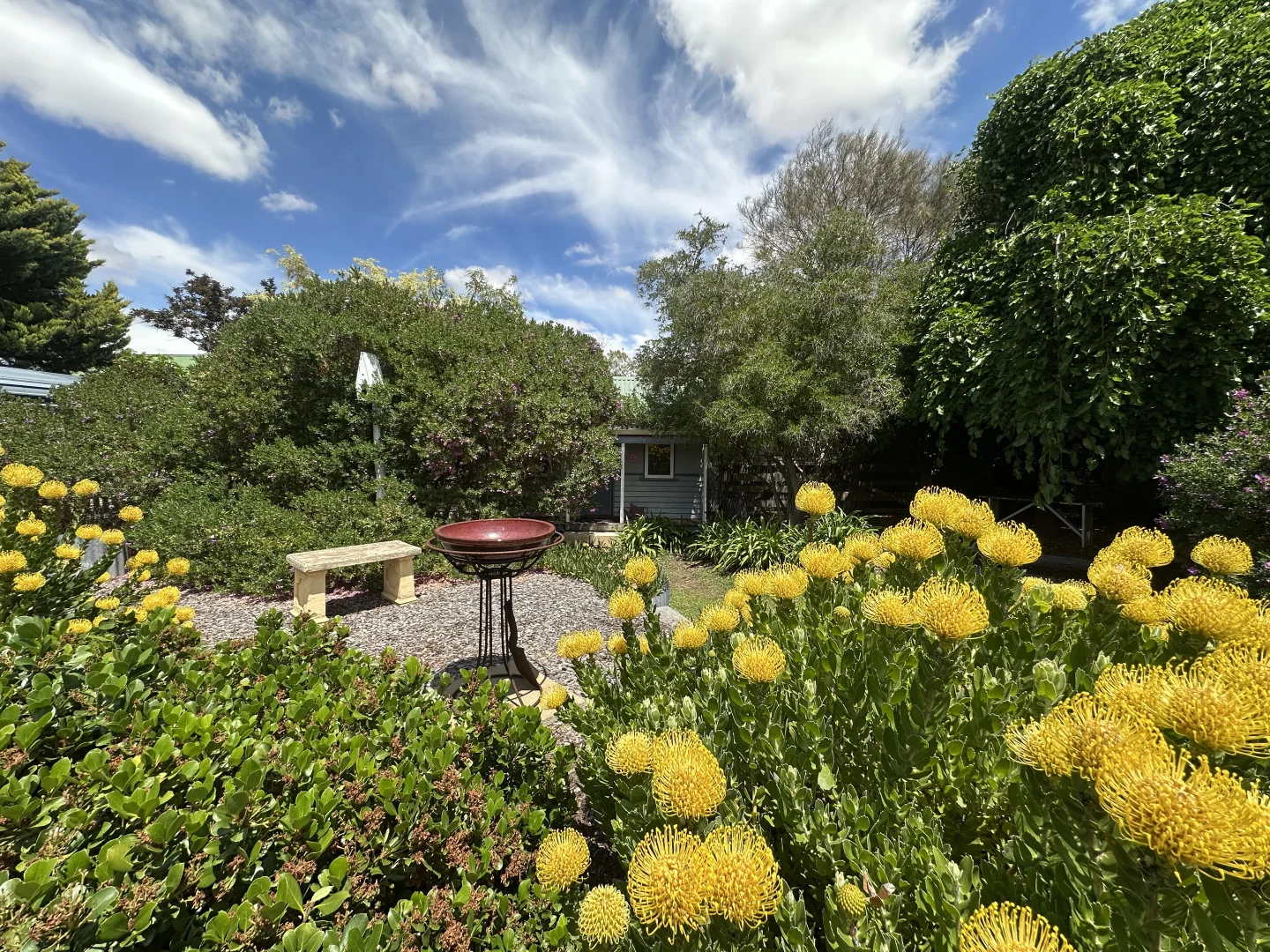 Additional image 35 of 7 Ware Street, Wagin WA 6315