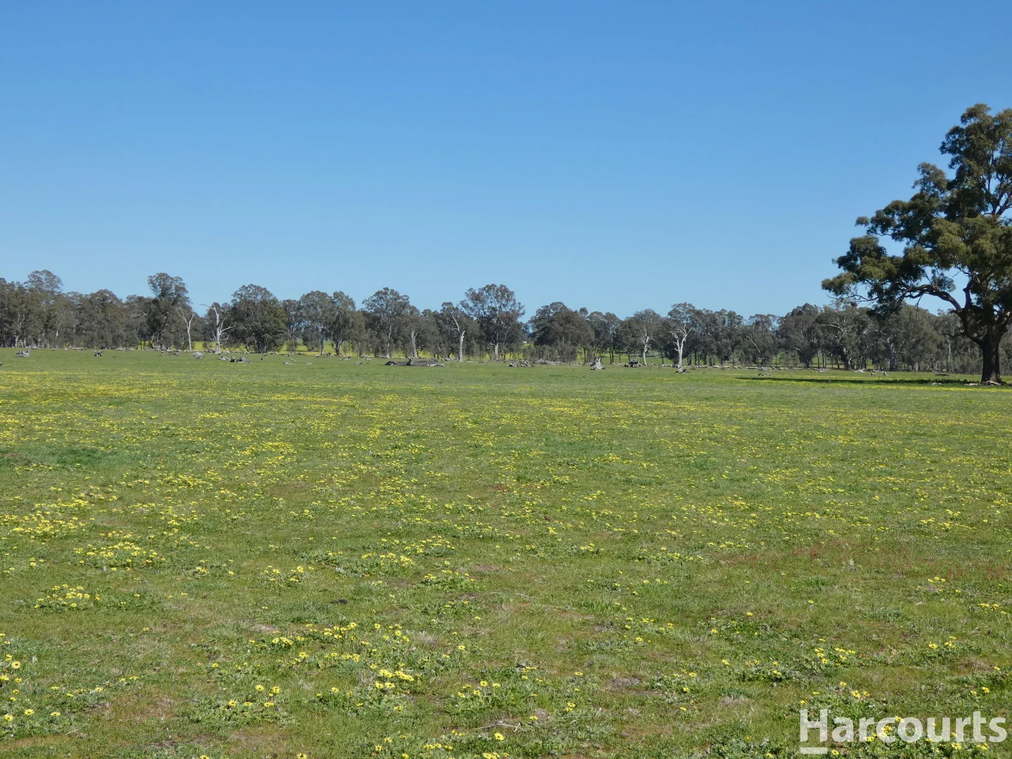 Additional image 14 of . Red Rock Road, Glenisla VIC 3314