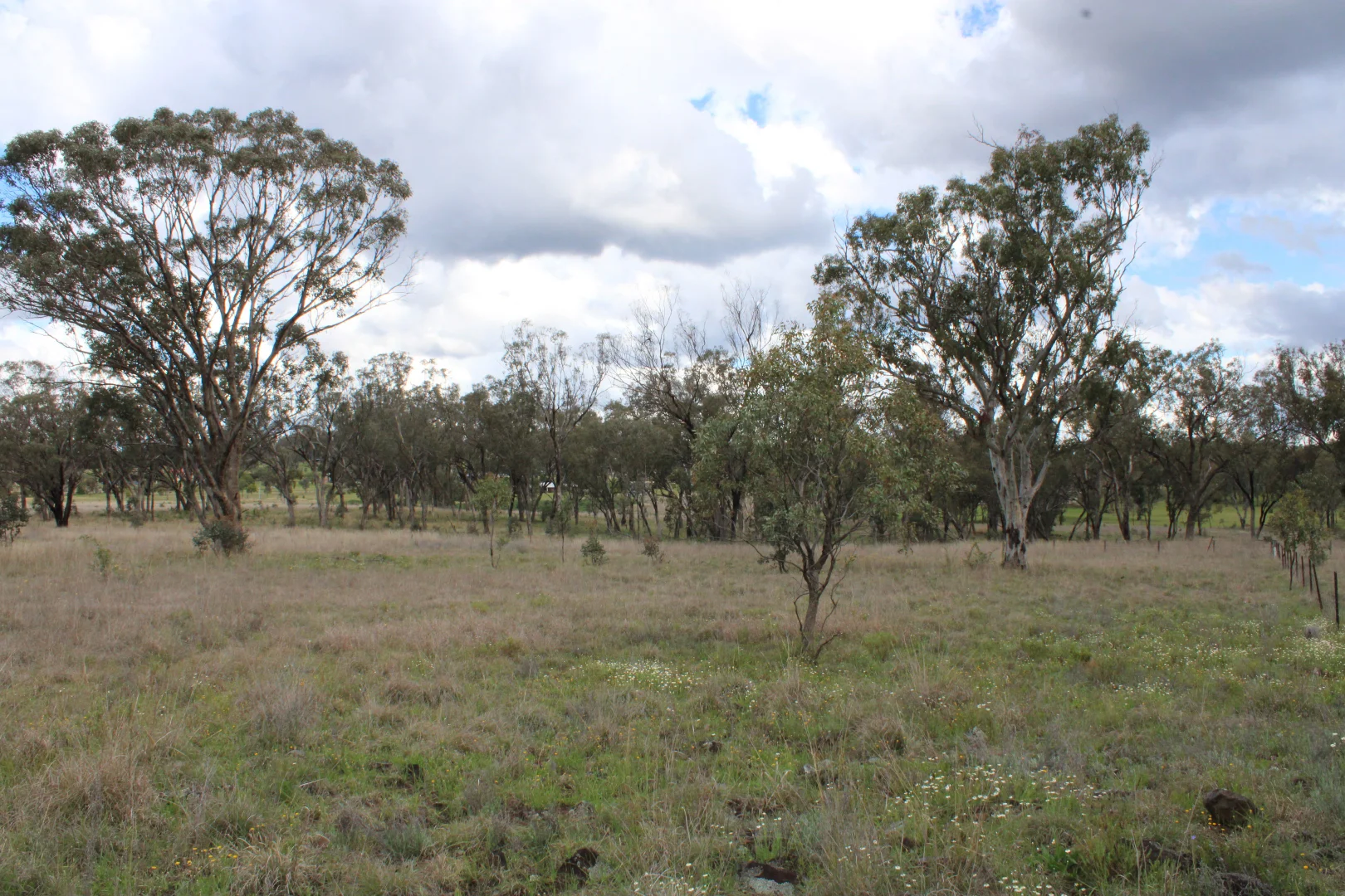 Additional image 7 of Lot 2 Burtenshaws Road, Inverell NSW 2360