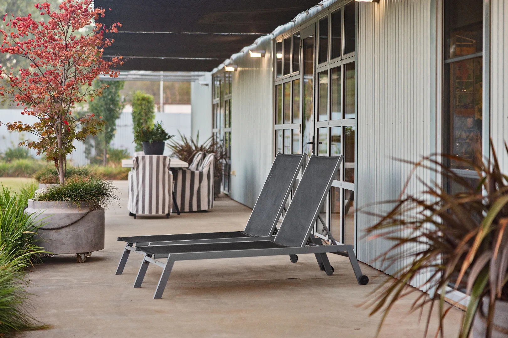 Additional image 19 of 13 Emily Street, The Rock NSW 2655