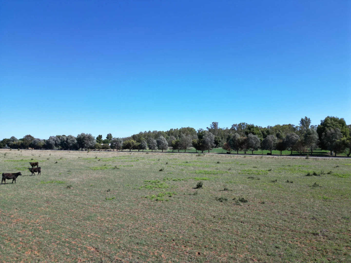 Additional image 6 of 54 Cobrawonga Rd, Cobram East VIC 3644