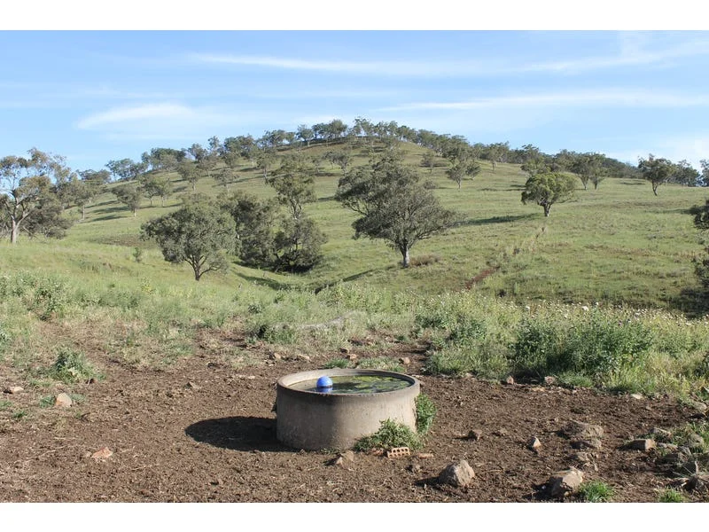 Additional image 7 of Golden Highway, Cassilis NSW 2329