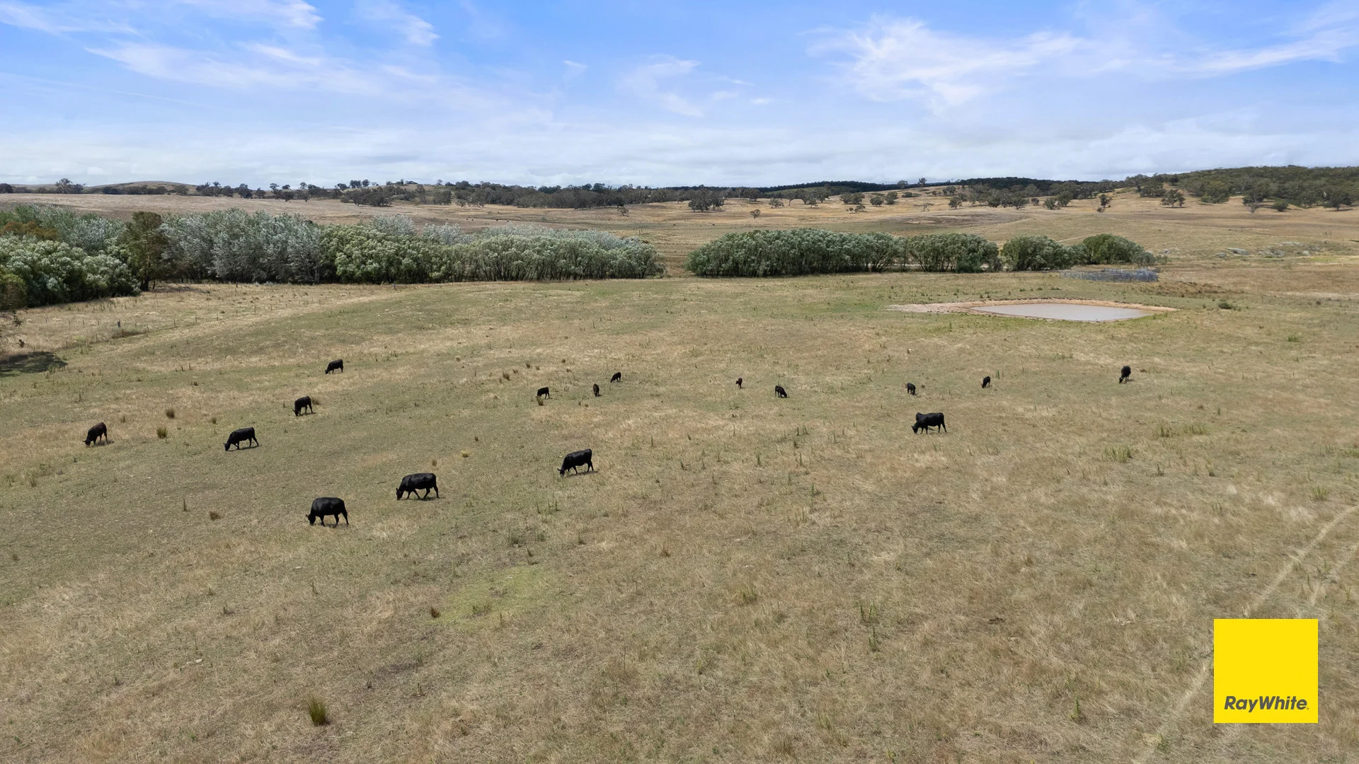 Additional image 41 of 1154 Goulburn Road, Boro NSW 2622