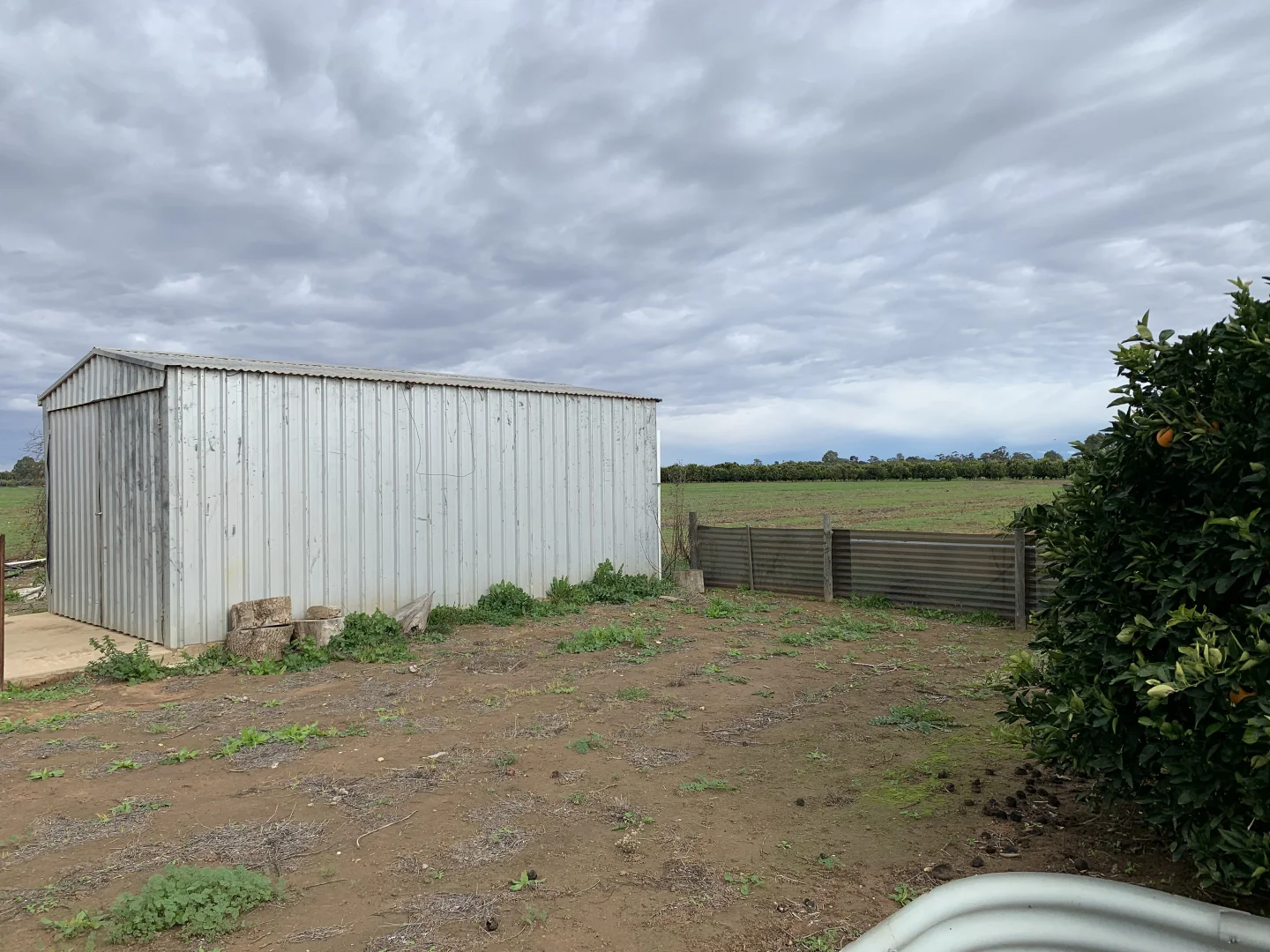 Additional image 4 of 309 Channel Road, Curlwaa NSW 2648