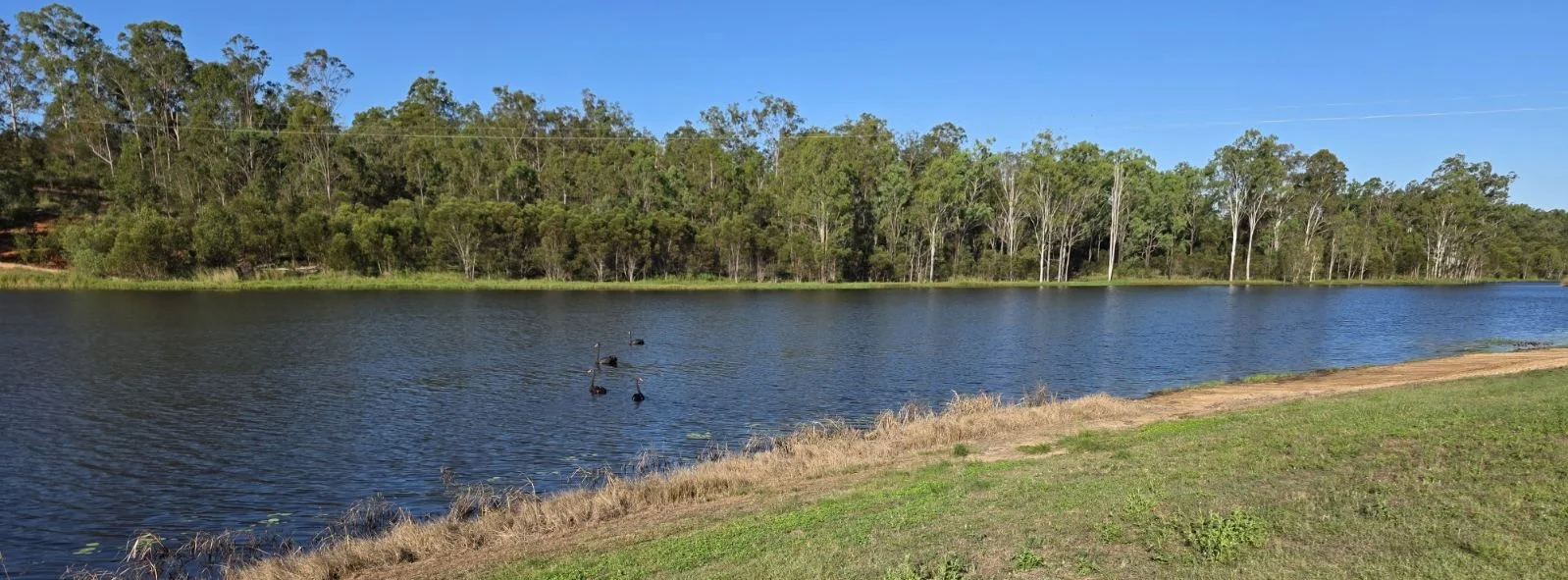 Additional image 16 of 63 Griggs Road, Eureka QLD 4660