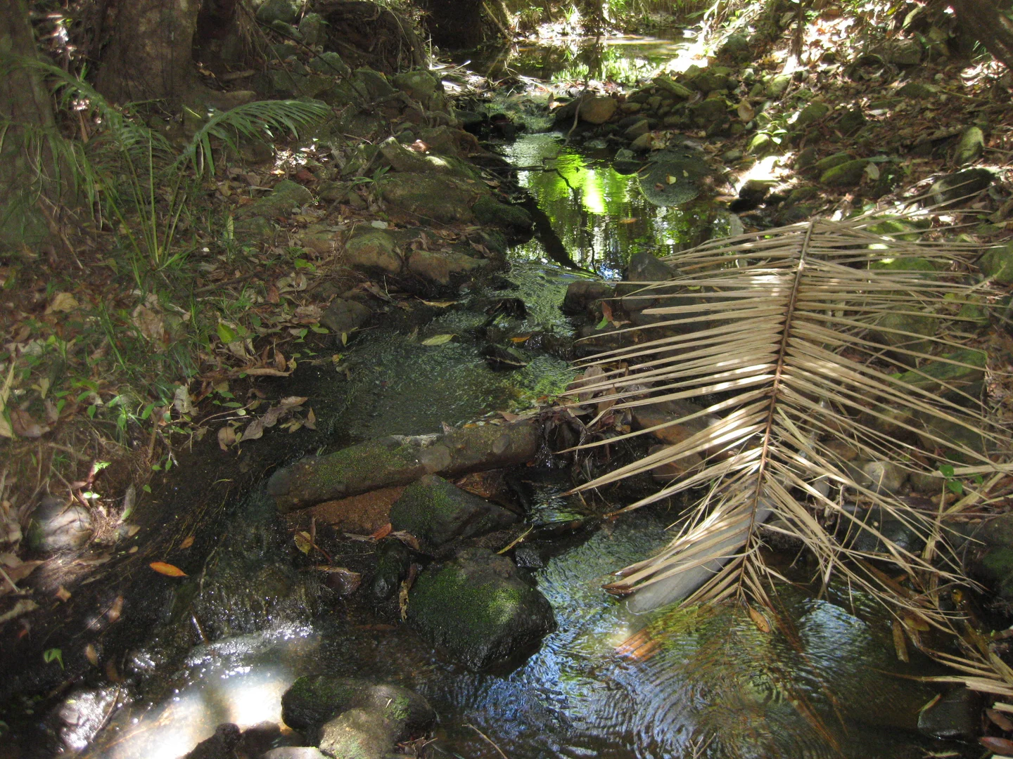 Additional image 3 of 0 Tully-Mission Beach Road, Wongaling Beach QLD 4852