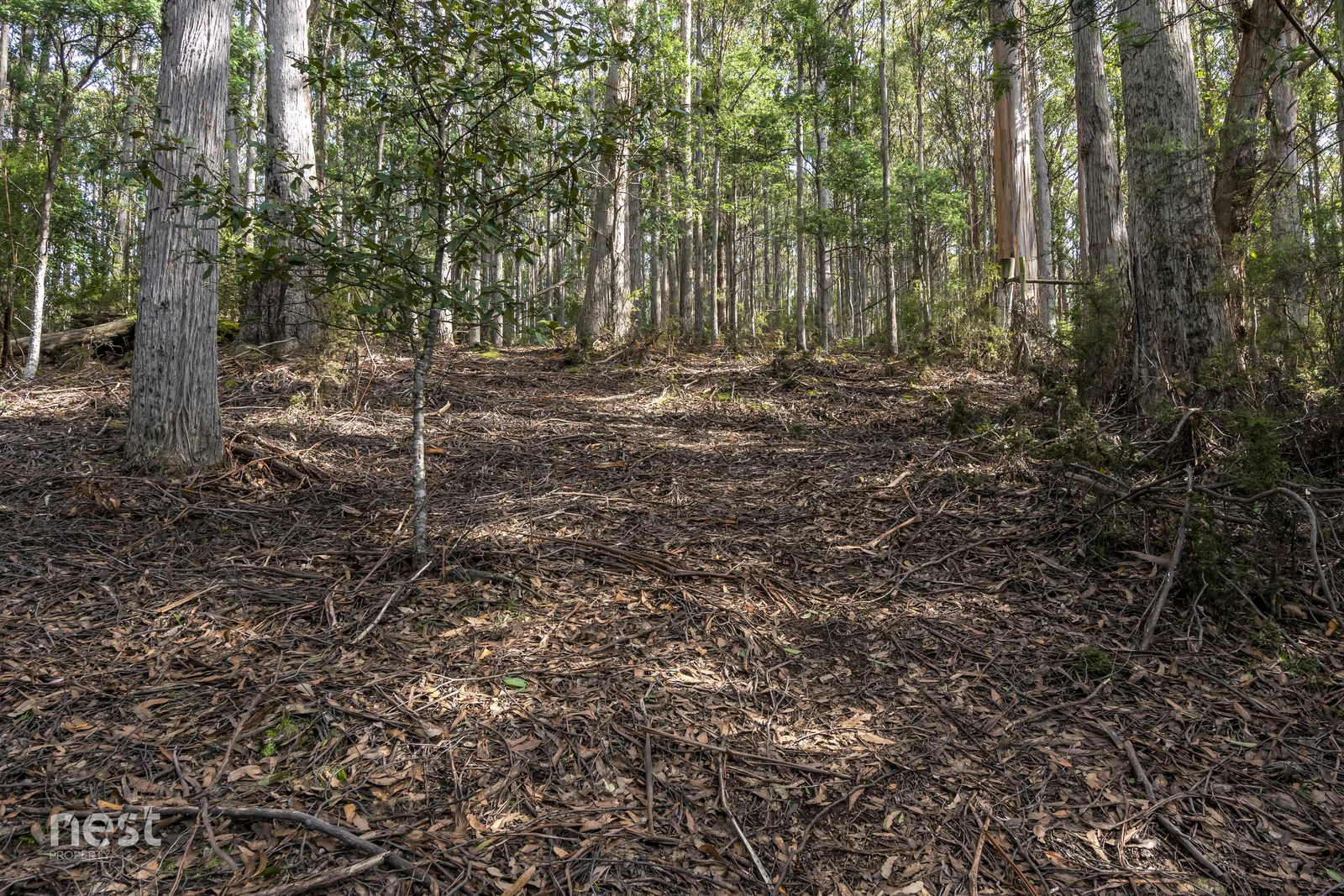 Additional image 6 of 405 Whittons Road, Kettering TAS 7155