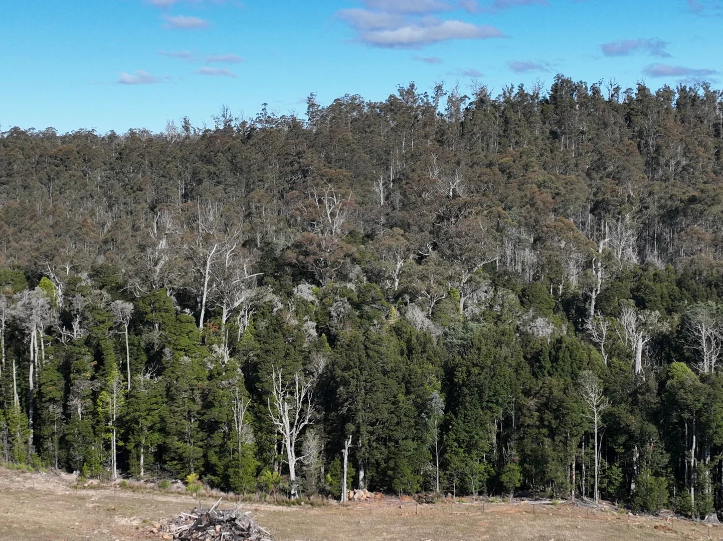 Additional image 10 of 560 Gads Hill Road, Mersey Forest TAS 7304