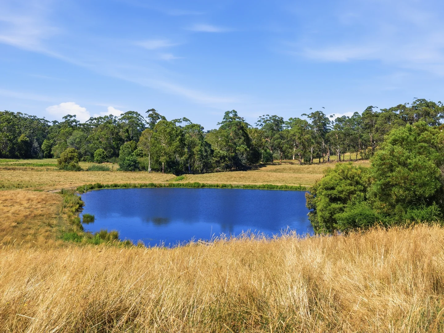 Additional image 4 of 105 Stockdales Road, Koonwarra VIC 3954